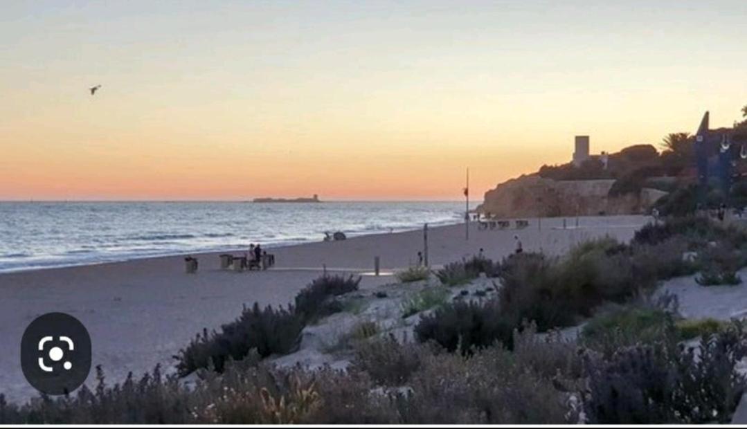 Casa Pelicano Chiclana de la Frontera Eksteriør bilde